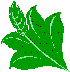 Leaves1.wmf (2966 bytes)