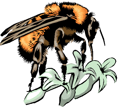 bee4.wmf (14464 bytes)