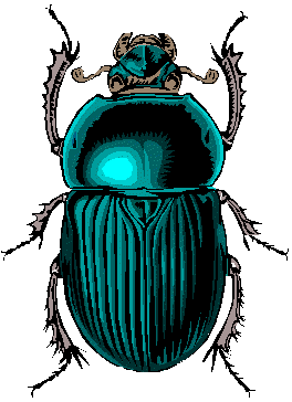 bug8.wmf (17130 bytes)