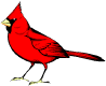 cardinal.wmf (5182 bytes)