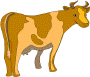 cow.wmf (6486 bytes)