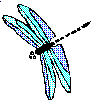 dragonfly.gif (1730 bytes)