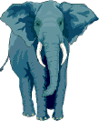 elephant2.GIF (13251 bytes)