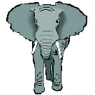 elephant.jpg (7828 bytes)