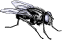 fly.wmf (10762 bytes)