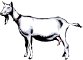 goat1.wmf (5752 bytes)