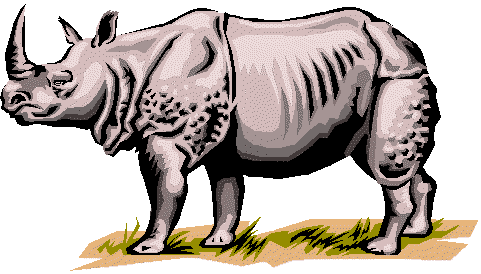 rhino2.wmf (16950 bytes)