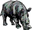 rhino5.wmf (10648 bytes)