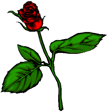 rose11.wmf (8628 bytes)