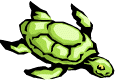 turtle3.wmf (2920 bytes)