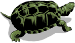turtle7.wmf (8058 bytes)
