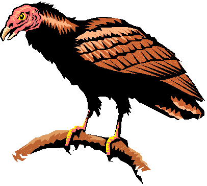 vulture.wmf (6168 bytes)