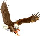 eagle.wmf (11574 bytes)